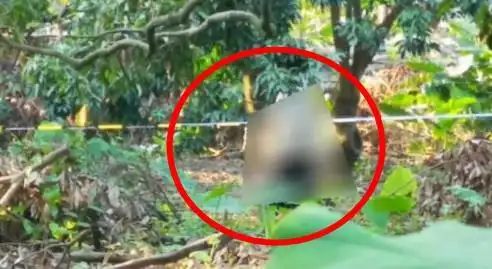 女子公园上吊身亡疑自杀经过原因曝光