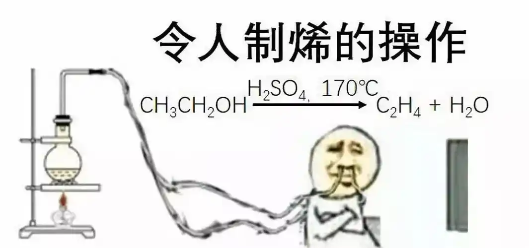 毕导的科技进化论如何以幽默之名突破科学传播的边界m