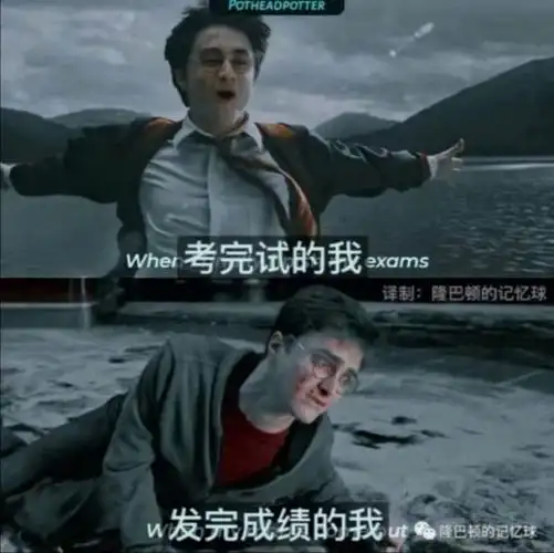请允许我不厚道地笑了哈利波特