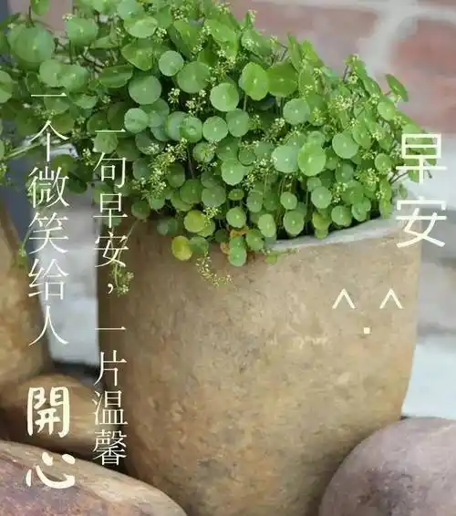 原创7张夏日创意唯美早上好祝福语图片大全免打字2021夏日清晨早安