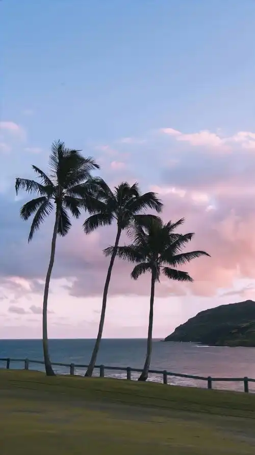 好看的手机壁纸又增加啦