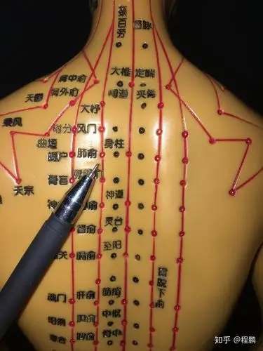 为什么要在背部拔罐