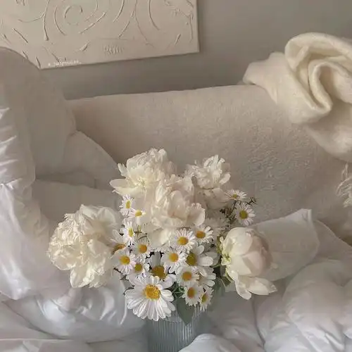 盘点那些ins鲜花背景图|极致浪漫且高级