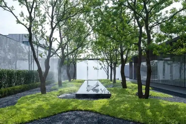 [分享]树阵景观,居然还能这么美!