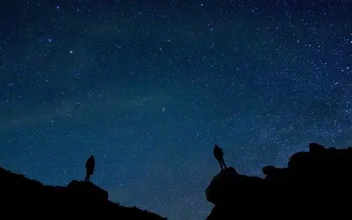 孤独的夜晚难以下咽 壁纸图片