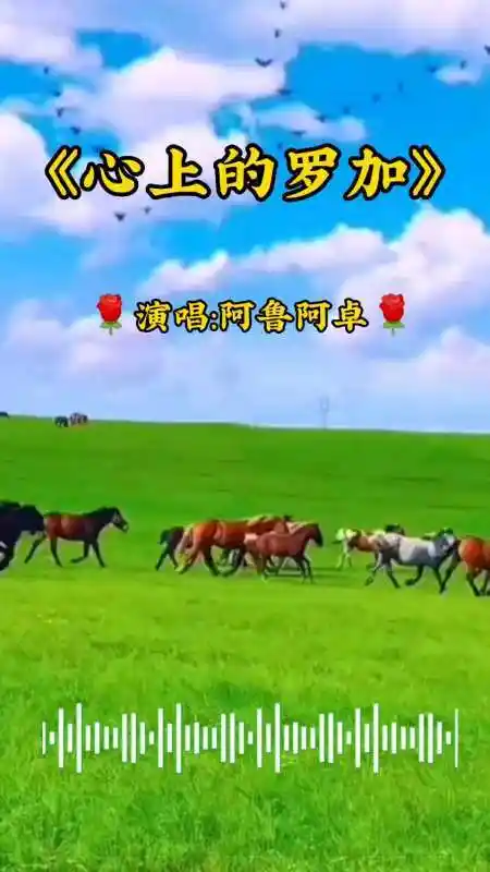网络热门歌曲《心上的罗加》,阿鲁阿卓演唱,歌声甜美百听不厌-度小视