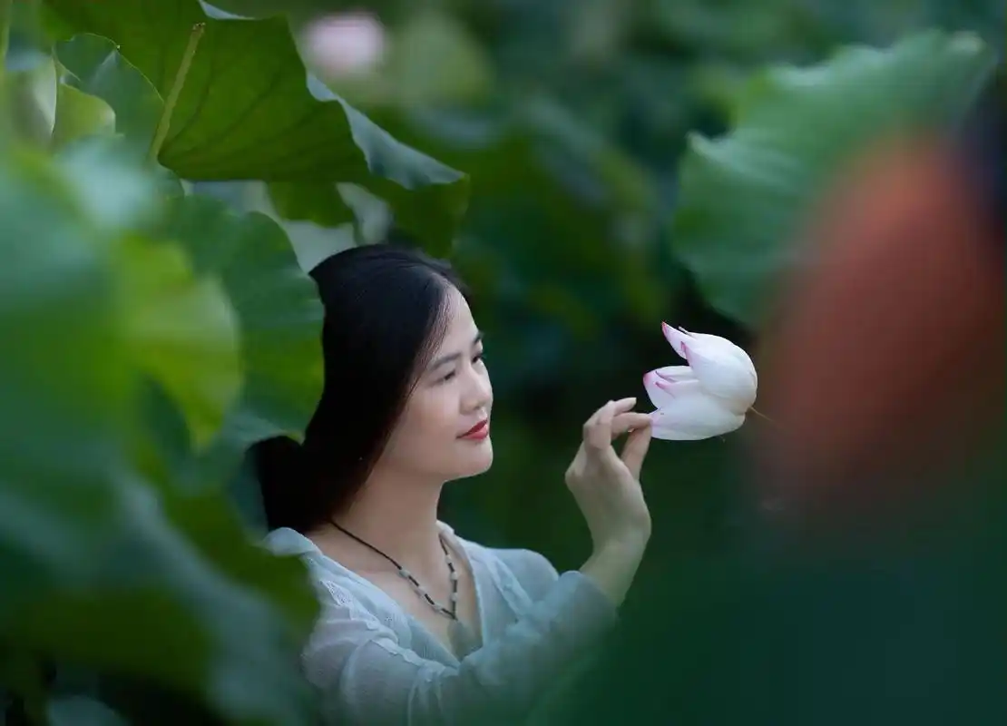 光与影荷花人像摄影.#原创摄影 #唯美意境 #感受大自然的气 - 抖音