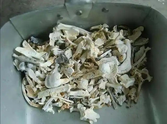 火葬场真的能把尸体烧成灰吗?其实很多人都被骗了