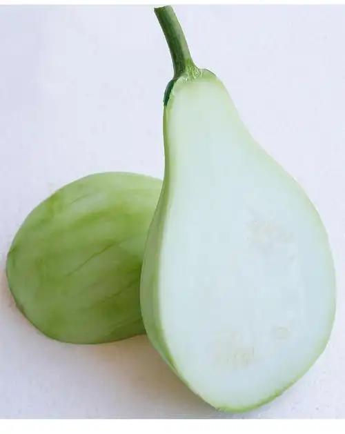 福建漳州菜葫芦瓜5斤新鲜4斤装食用圆葫芦瓠子蒲瓜瓠瓜农家种植蔬菜