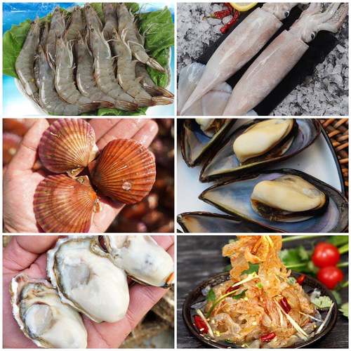 大虾鱿鱼鲜活海鲜生鲜套餐顺丰包邮冷冻其它