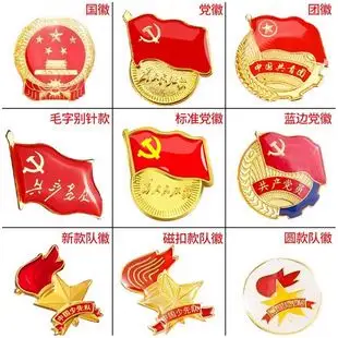 党徽标准型磁铁式别针式少先队队徽徽章小学生团徽团员证党章共青团