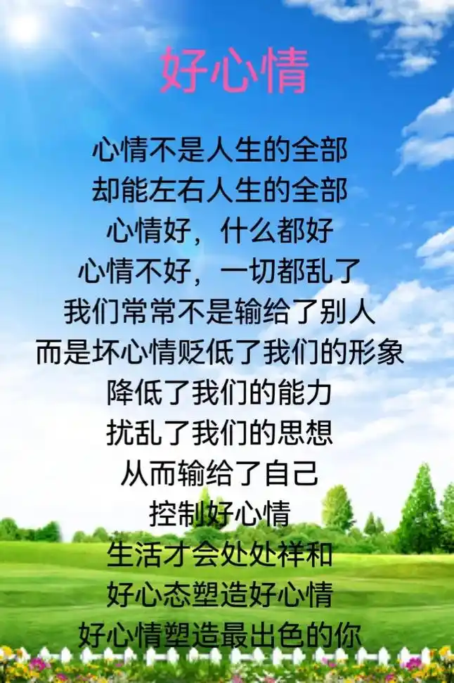 好心情 心情不是人生的全部 却能左右人生的全部 心情好,什么都好
