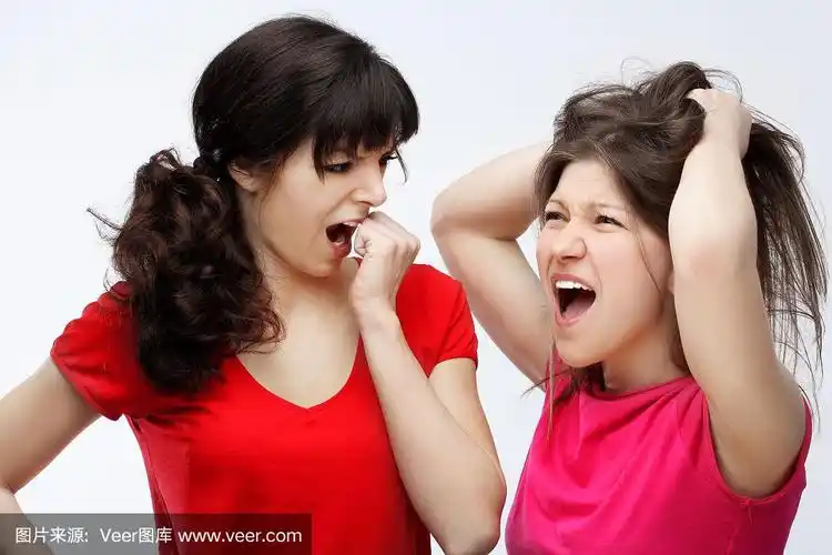 愤怒的女孩们互相争吵,大喊大叫