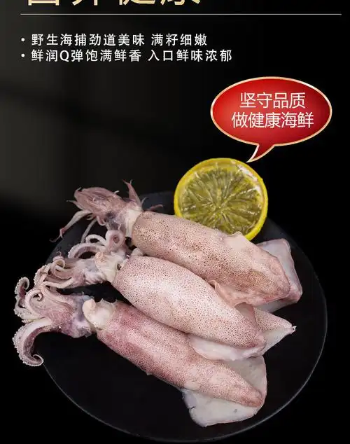 全籽籽乌带籽满籽乌鱼新鲜海兔笔管鱼墨鱼鱿鱼八爪鱼斗鱼海鲜批发