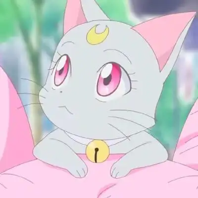 美少女战士里的萌宠头像 小灰猫戴安娜黑猫露娜和白猫亚提米斯的女儿