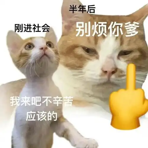 创意无限,搞笑表情包精选 拿图请顺便吱一声 很难有动力发图了