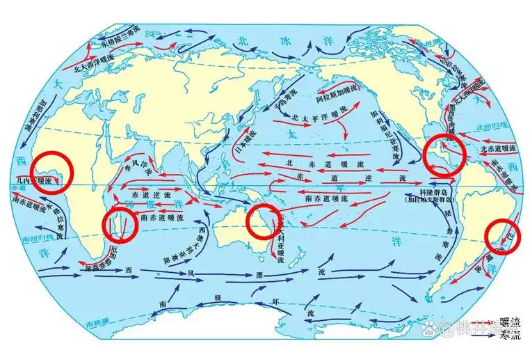 (几内亚湾暖流附近向高纬度地区延伸的热带雨林
