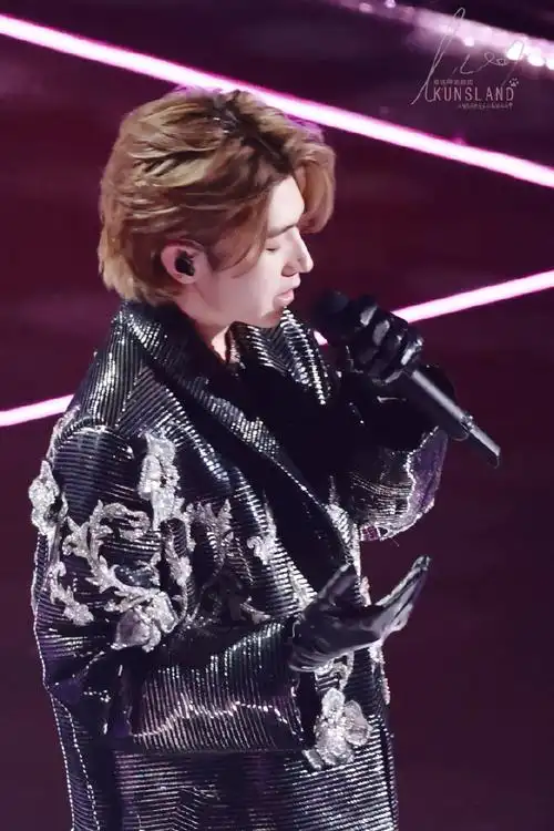 蔡徐坤雪景梦舞台