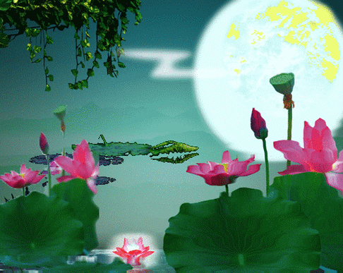 写美篇 秋天的落叶,如生命里的细碎光阴,不知不觉就散了.