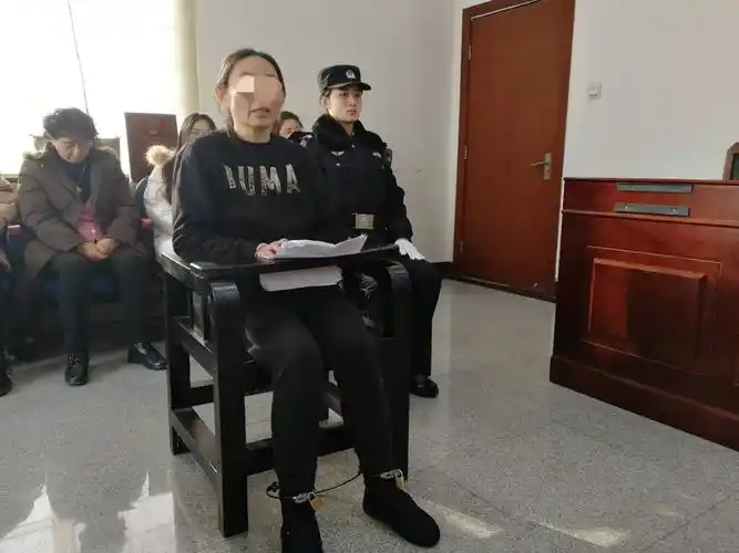 庭审上,被告人陈某准备了材料应诉,这在刑事案件中比较少见.