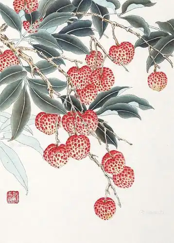 0275 工笔荔枝 镜框 纸本