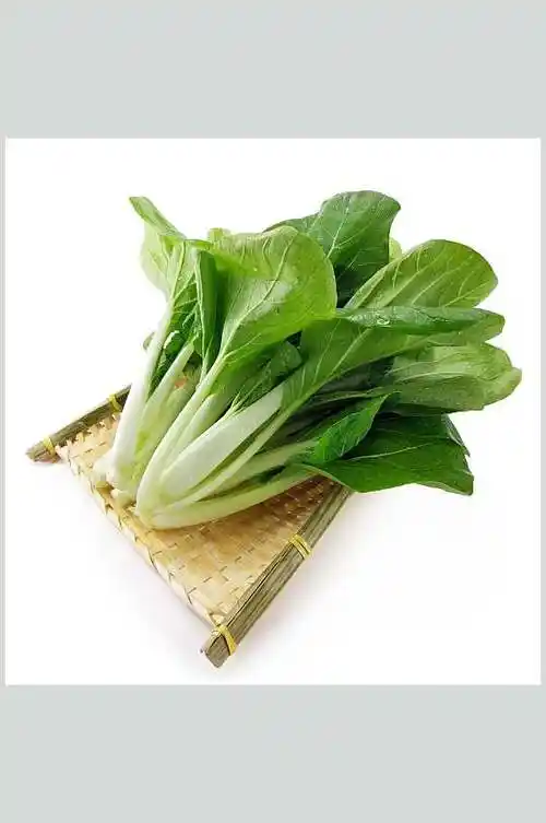 小白菜高清美食摄影图片