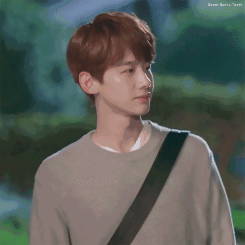 夏至未至 陆之昂 白敬亭