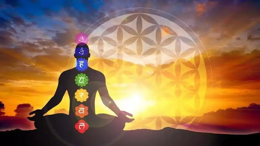 真正的高手都在悄悄吸收高维能量深度好文