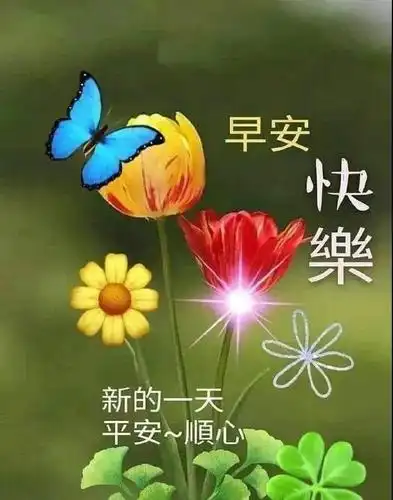 初夏清晨早上好问候语动态表情图片最美的早上好问候祝福语发朋友