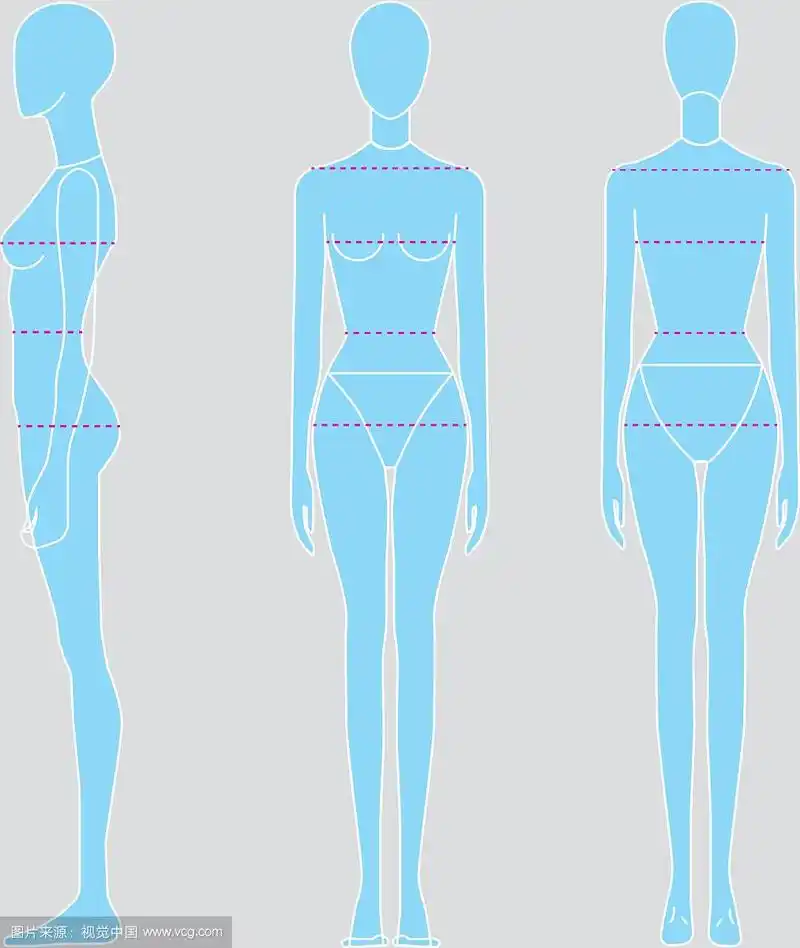 女性体型图像