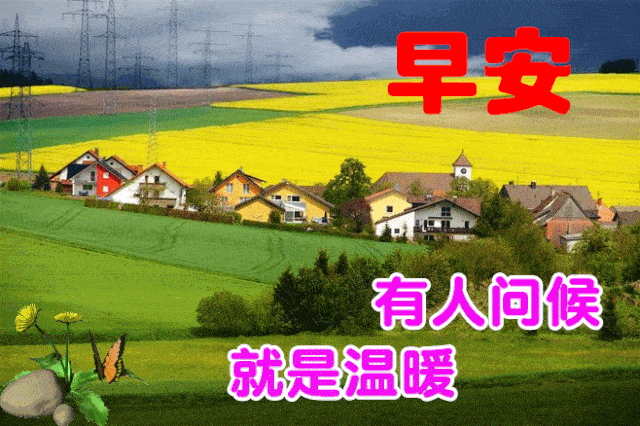 11月5日最漂亮早上好动态表情图片大全,早晨好动图美图大全_祝福