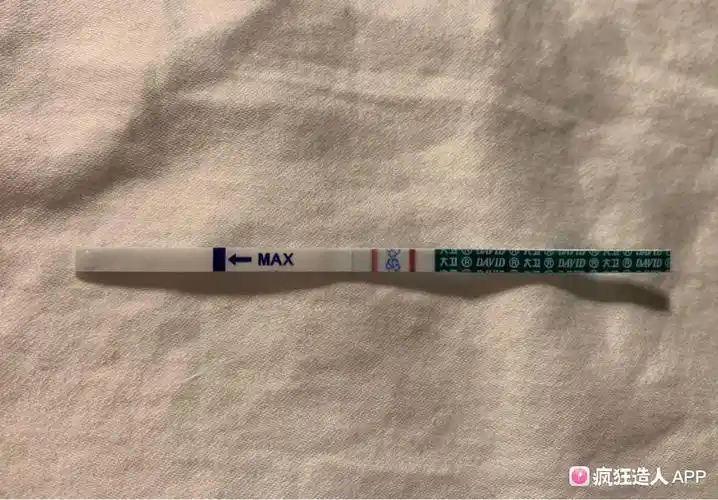 排卵18还是19天,大卫早早孕快强阳了