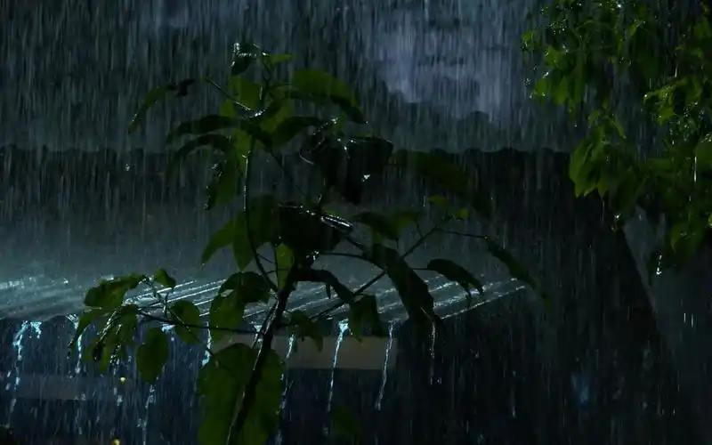 在暴风雨的夜晚立即深度睡眠 | 暴雨和强大的雷电 | 暴风雨声