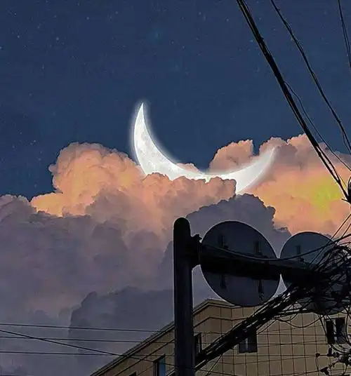 高质网图_文字图片_我要个性网