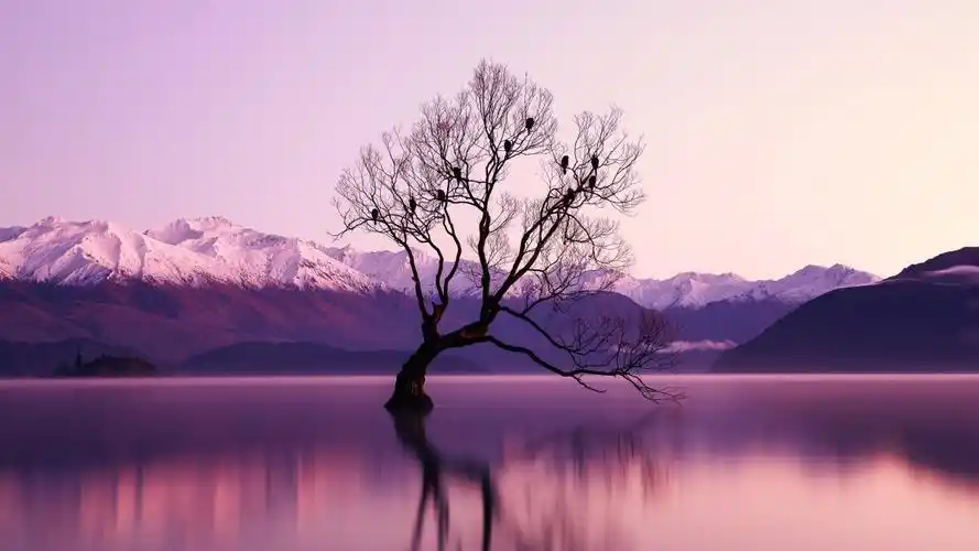 2022鸟树湖雪山高品质桌面图片