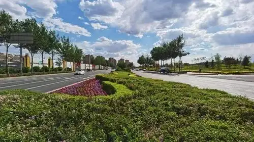 长春市绿园区住建局提升绿地景观效果,打造宜居城区