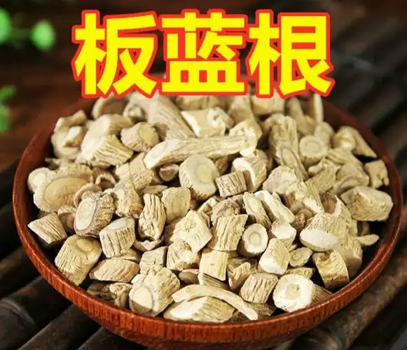 中药材板蓝根无硫板蓝根板蓝根250克