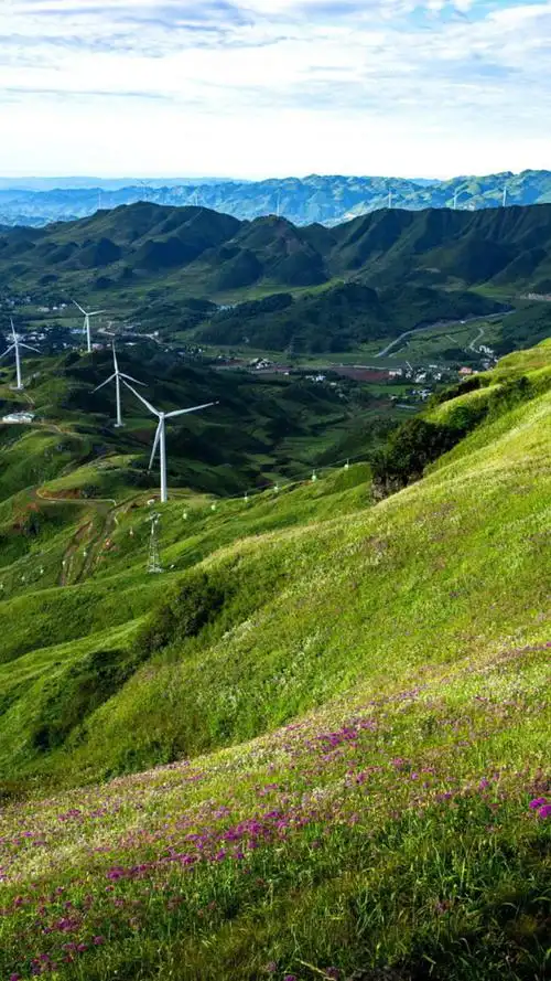 绿色护眼自然风光手机壁纸_风景_手机壁纸下载_美桌网