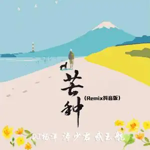 芒种remix抖音版