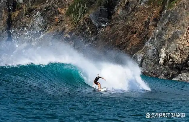 石家庄金伯帆老板吴迪简历石家庄吴迪手下