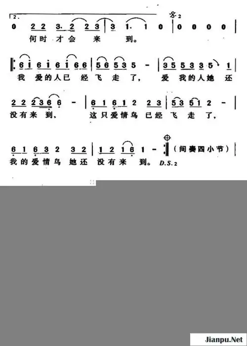 歌曲爱情鸟的简谱歌谱下载