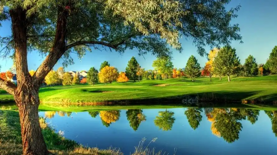 属蛇的幸运色是什么颜色2022年穿什么颜色好