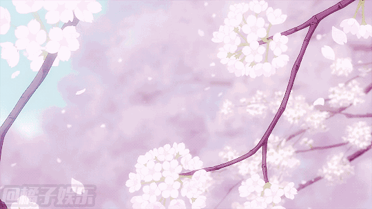 540_304gif 动态图 动图