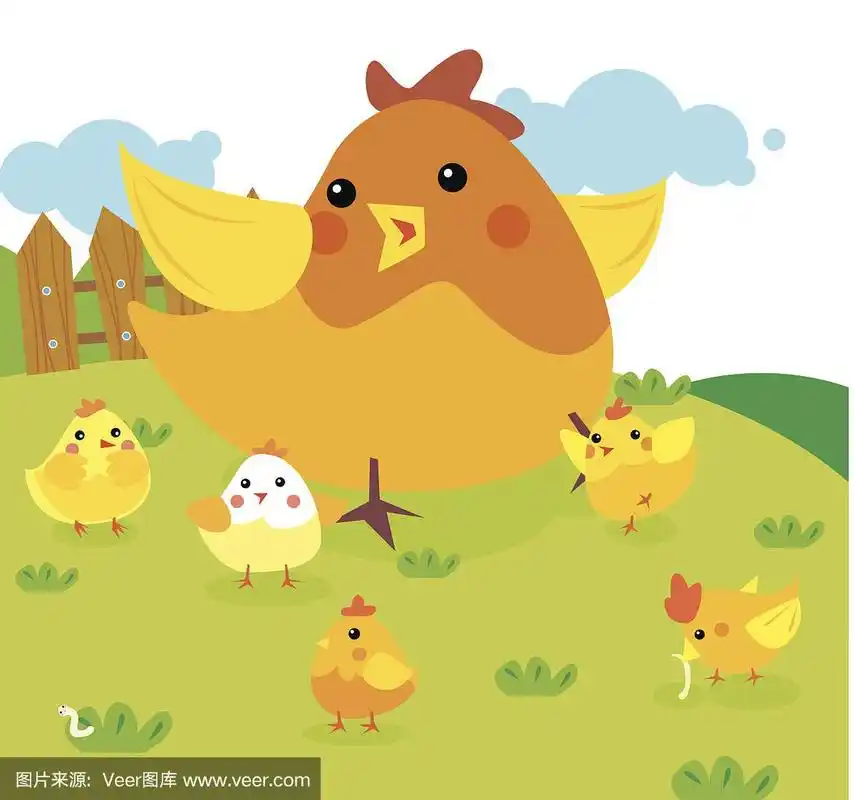 母鸡和小鸡-插图