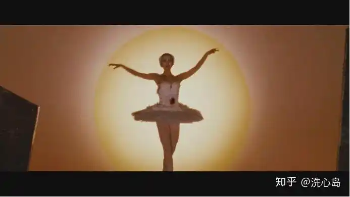 一,黑天鹅与白天鹅