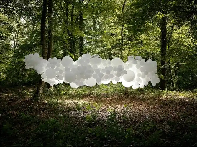 charles pétillon装置艺术作品《入侵》