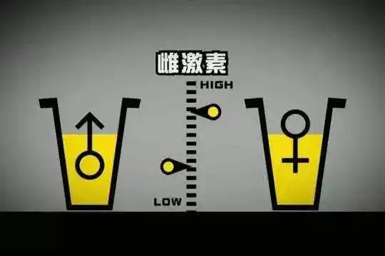 (雌性激素上升雄性激素下降,使男人不阳刚,导致男人女性化造成性功能