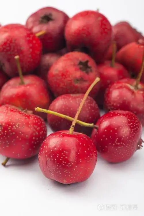 在白色背景上的山楂