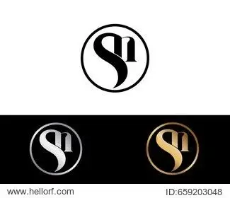 sn text gold black silver modern creative alphabet letter logo