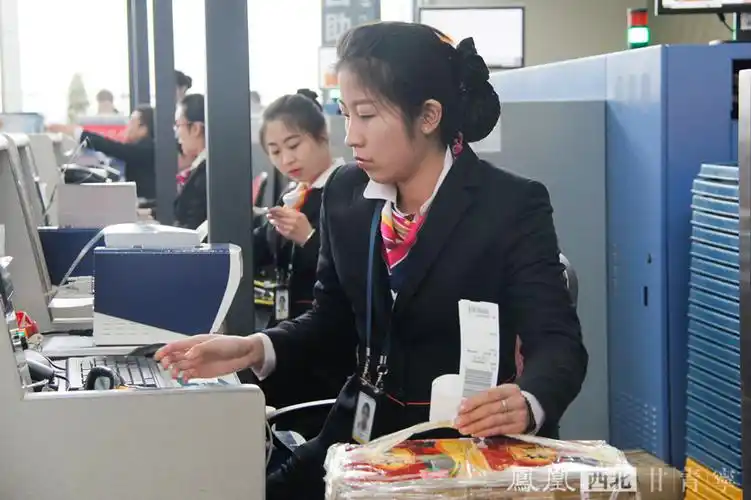 地勤 机场后勤服务保障人员